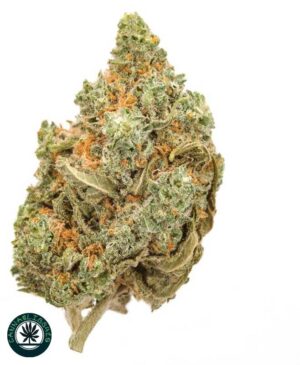Skywalker OG skywalker og strain