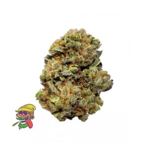 Australian Blue Weed