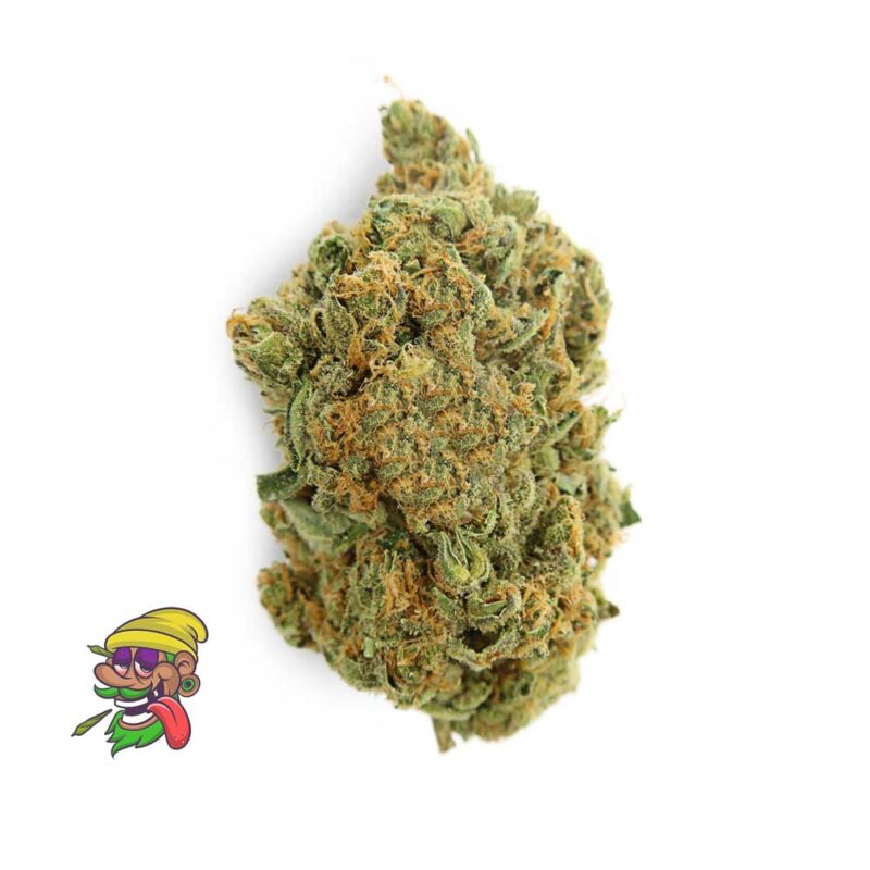 Australian Girl Scout Cookies