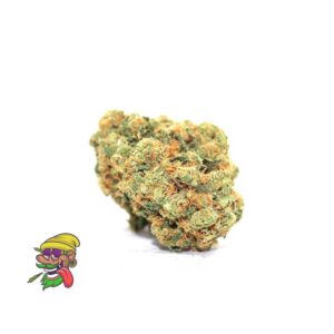 Bacio Gelato strain