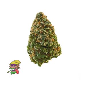 Blissful Wizard for sale