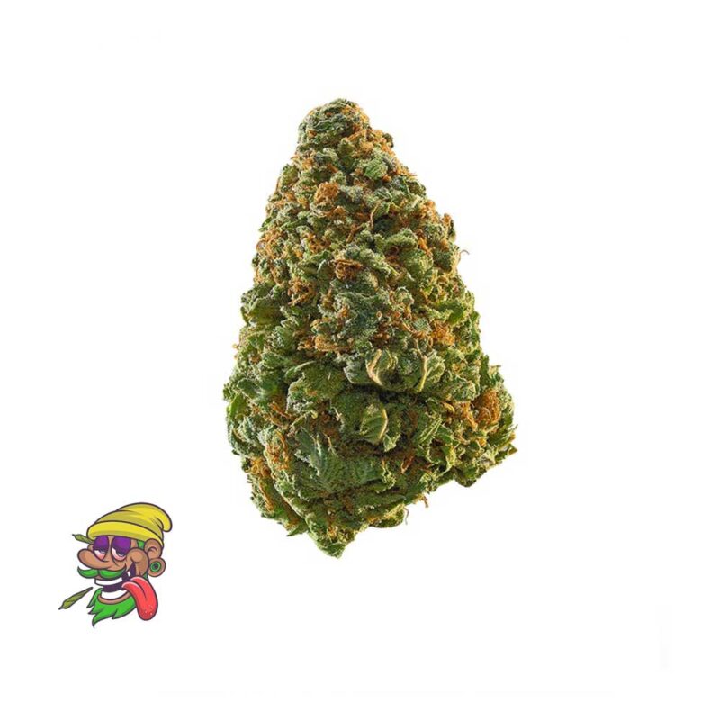 Blissful Wizard for sale