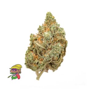 Buy amnesia haze online