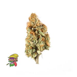 Gello Gelato Strain
