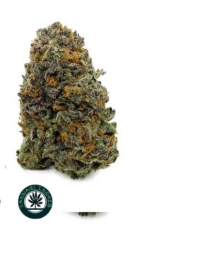 Guava Cake Strain