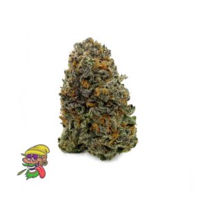Guava Cake Strain
