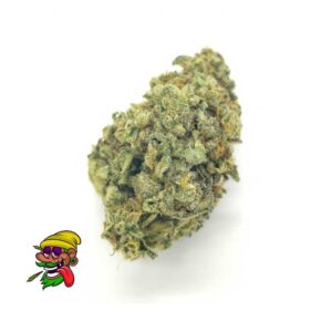 Lemon Cherry Gelato Strain