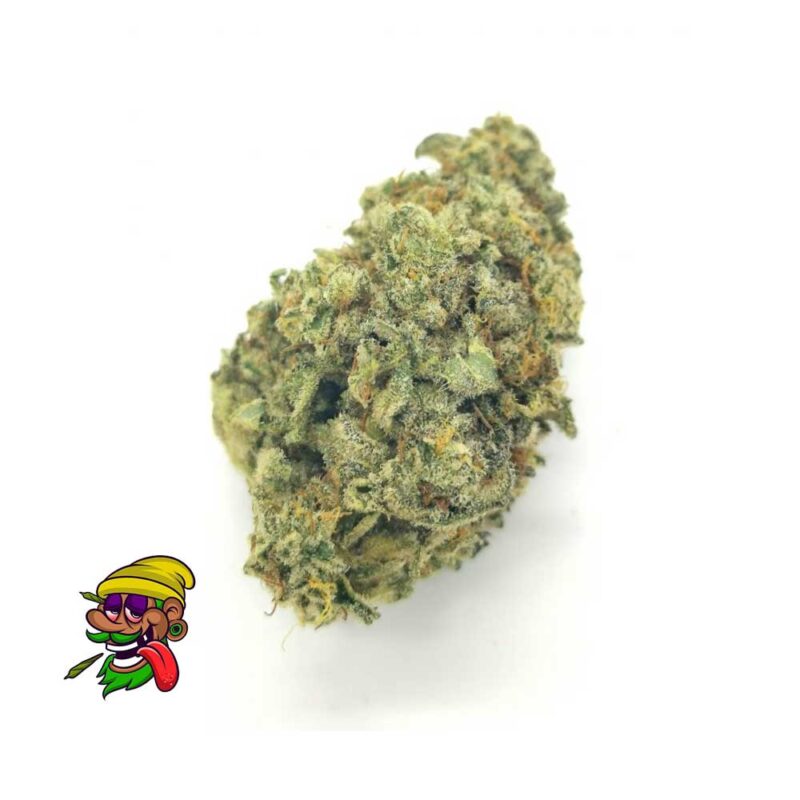 Lemon Cherry Gelato Strain