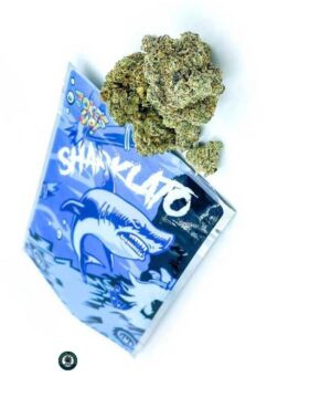 Sharklato weed strain