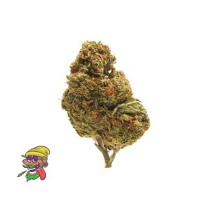 White Cherry Gelato Strain