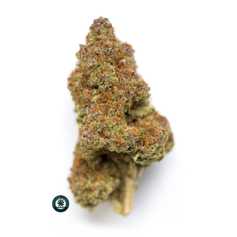 black cherry pie strain