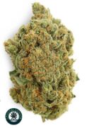 girl scout cookies strain