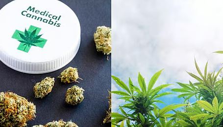 Buy Medical Cannabis online Australia	