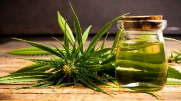 buy weed online australia reddit	